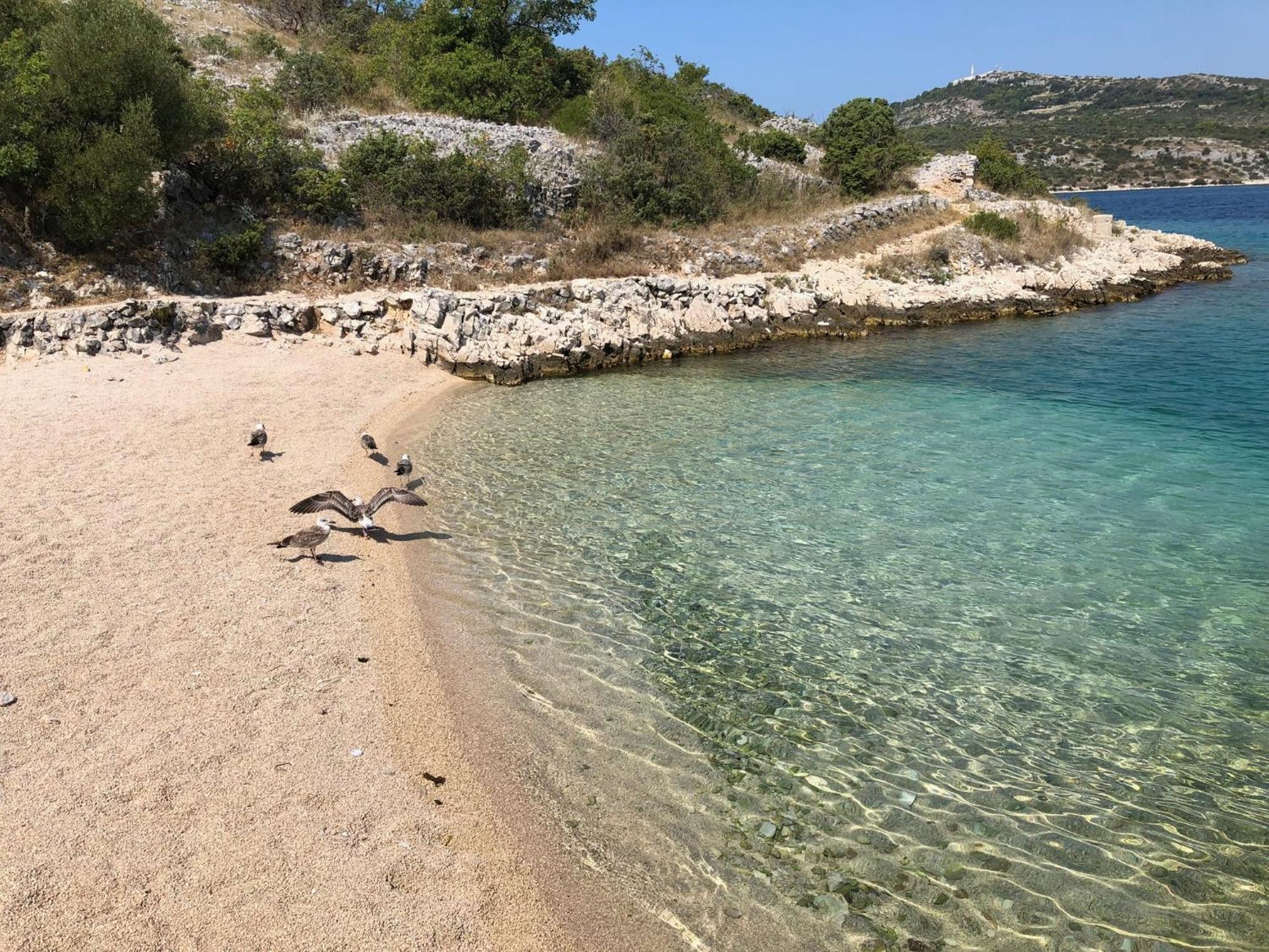 Days@Sea Apartman Primošten Kültér fotó